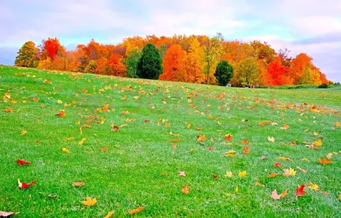 Участок в Ростовская область, Аксайский район, Щепкинское с/пос, пос. ...