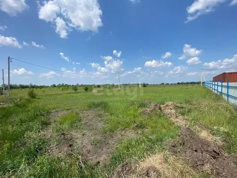 Участок в Воронежская область, с. Новая Усмань ул. Вербная, 2 (12.0 ...