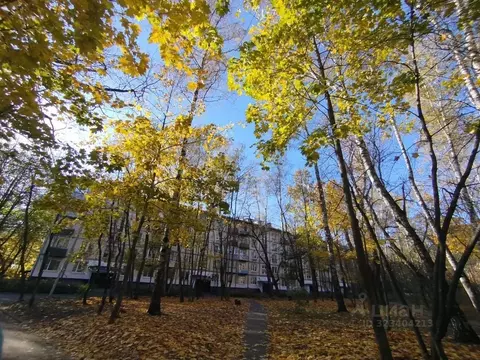 2-к кв. Московская область, Щелково Щелково-3 мкр, ул. Институтская, ...