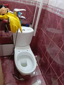 Студия Красноярский край, Красноярск ул. Гастелло, 27 (14.0 м)