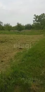 Участок в Ставропольский край, Ставрополь Зорька садовое товарищество, ...