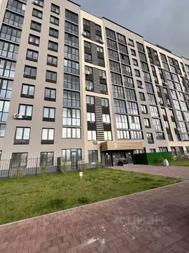 Студия Тульская область, Тула ул. Купцов Гречихиных, 12 (25.7 м)