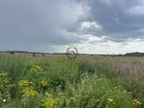 Участок в Калужская область, Дзержинский район, Дворцы с/пос, д. ...
