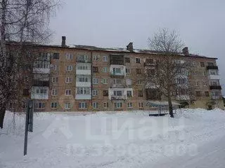 2-к кв. Пермский край, Чусовской муниципальный округ, Скальный рп ул. ...