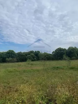 Участок в Калужская область, Ферзиковский район, Ястребовка с/пос, д. ...