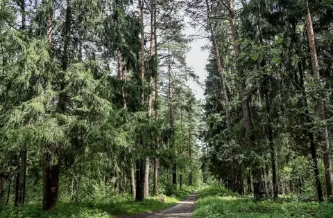 Участок в Московская область, Солнечногорск городской округ, д. ...