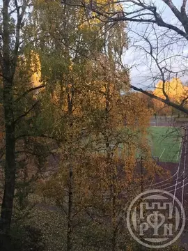 2-к кв. Санкт-Петербург просп. Мечникова, 8К1 (45.0 м)