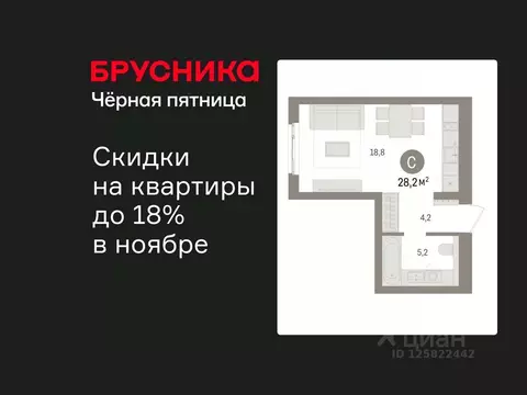 Студия Ленинградская область, Ломоносовский район, Аннинское городское ...