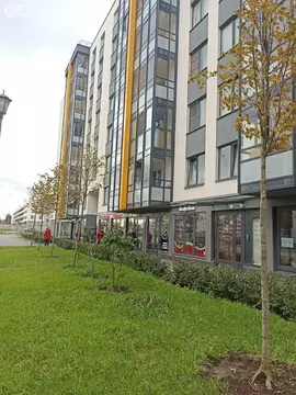 1-комнатная квартира: Санкт-Петербург, проспект Ветеранов, 179 (33.6 ...