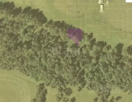 Участок в Новосибирская область, Новосибирский район, Морской ...