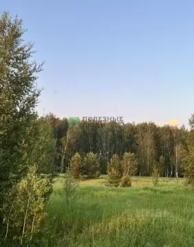 Участок в Курганская область, Кетовский муниципальный округ, д. ...