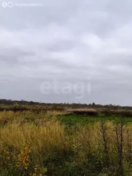 Участок в Калининградская область, Гурьевский муниципальный округ, ...