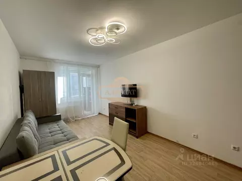 Студия Санкт-Петербург Мебельная ул., 35к2 (23.0 м)
