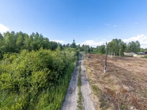 Участок в Тюменская область, Нижнетавдинский муниципальный округ, ...