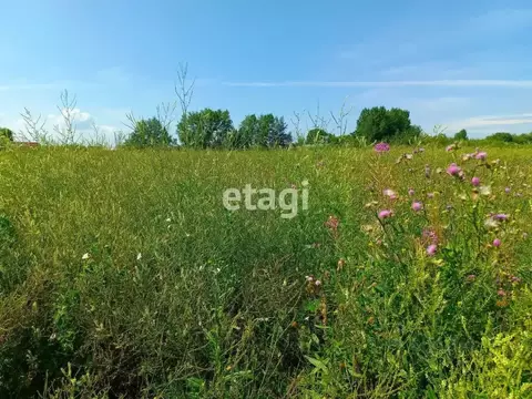 Участок в Новосибирская область, Новосибирский район, Морской ...