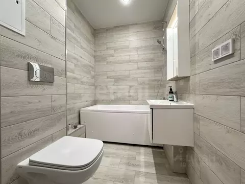 Студия Ленинградская область, Всеволожский район, Заневское городское ...