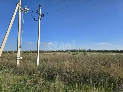 Участок в Воронежская область, Семилукский район, Губаревское с/пос, У ...