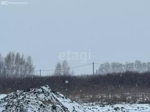 Участок в Троицкое сельское поселение, деревня Верхний Карбуш (9.99 м)