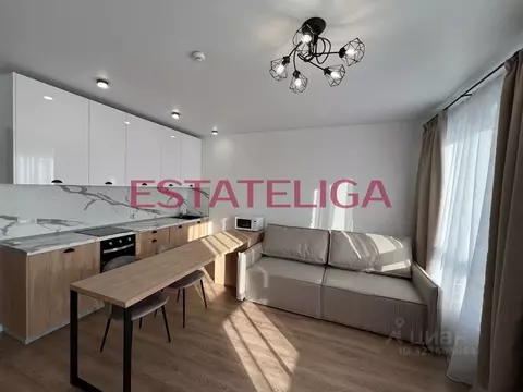 Студия Москва Очаковское ш., 5к1 (27.4 м)