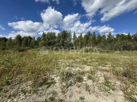 Участок в Тюменская область, Тюменский район, Архитектор СНТ ул. ...
