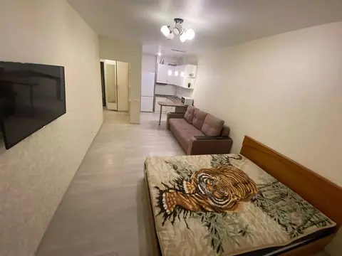 1-к кв. Татарстан, Казань ул. Аметьевская магистраль, 16к1 (35.0 м)