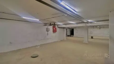 Помещение свободного назначения в Москва Люблинская ул., 157 (238 м)