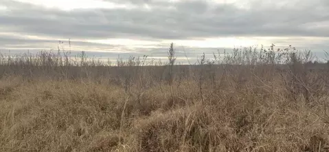 Участок в Московская область, Талдомский городской округ, д. Григорово ...