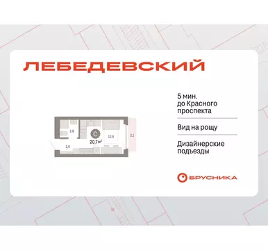 Квартира-студия: Новосибирск, квартал Лебедевский, 1/3 (20.7 м)