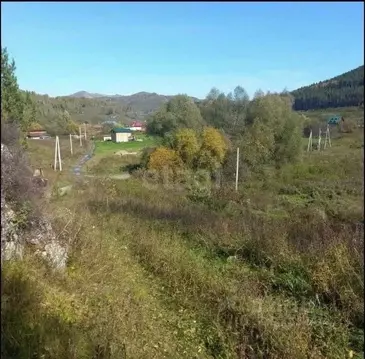 Участок в Алтайский край, Алтайский район, с. Нижнекаянча ул. ...