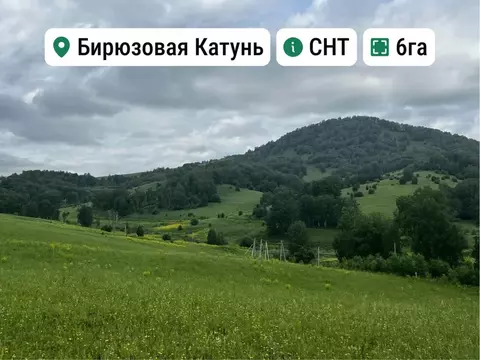 Участок в Алтай, Майминский район, с. Манжерок Ленинская ул. (6.0 ...