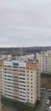 Студия Пермский край, Пермь ул. Докучаева, 52 (29.0 м)