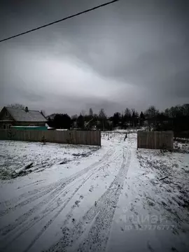 Участок в Новгородская область, Маловишерское городское поселение, д. ...