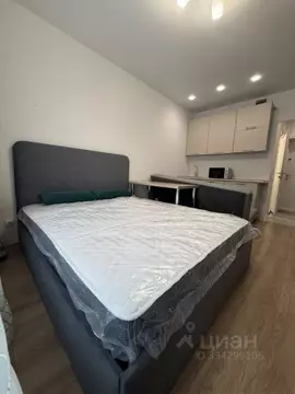 Студия Москва Ижорская ул., 6к6 (22.0 м)
