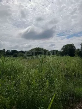 Участок в Калининградская область, Калининград Балтиец СНТ, проезд ...