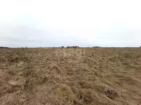 Участок в Псковская область, Псковский район, Логозовская волость, д. ...