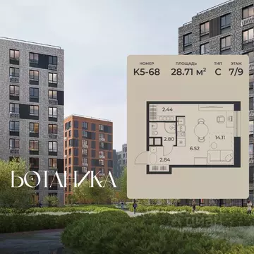 Студия Липецкая область, Липецк Авторский жилрайон, Ботаника жилой ...
