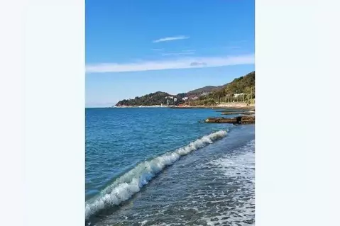 1-к кв. Краснодарский край, Сочи ул. Искры, 88к2 (25.0 м)