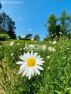 Участок в посёлок Красноармейское, Просёлочная улица, 99 (22 м)