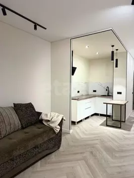 Студия Новосибирская область, Новосибирск ул. Галущака, 15 (29.9 м)