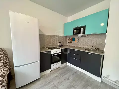 1-к кв. Ленинградская область, Всеволожский район, Заневское городское ...