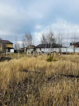 Участок в Воронежская область, Рамонский район, Новоживотинновское ...