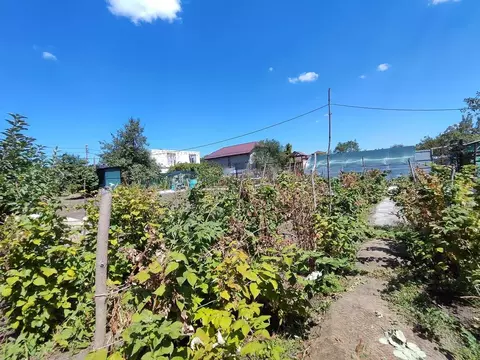 Участок в Ставропольский край, Ставрополь Прометей садовое ...