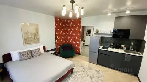 Студия Ярославская область, Ярославль ул. Городской Вал, 15к1 (29.5 м)