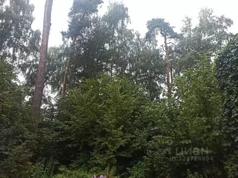 Участок в Московская область, Одинцовский городской округ, д. Барвиха, ...