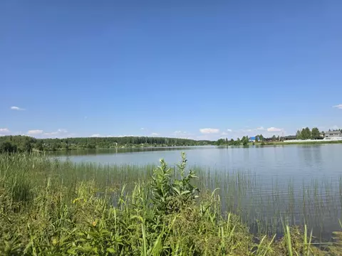 Участок в Московская область, Чехов муниципальный округ, д. ...