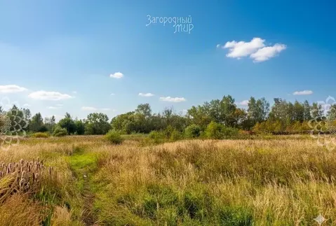 Участок в Московская область, Ногинск Богородский городской округ, ул. ...