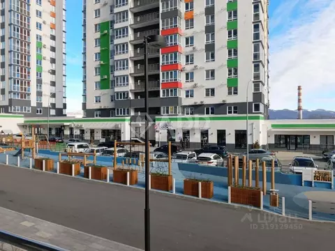 Помещение свободного назначения в Краснодарский край, Новороссийск ул. ...