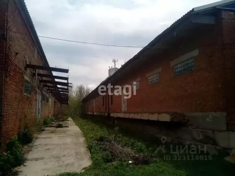 Склад в Ростовская область, Егорлыкская ст-ца пер. Чапаева, 146 (255 ...