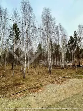 Участок в Челябинская область, Аргаяшский муниципальный округ, пос. ...