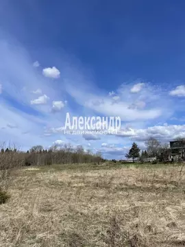 Участок в Ленинградская область, Лужский район, Оредежское с/пос, д. ...